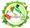 Ecological Cusco Travel